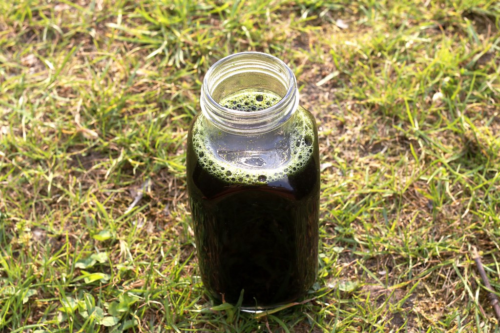 Spirulina Elixir Ingredients Spirulina Spring Water I bri… Flickr