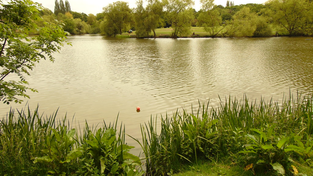 Lake Meadows, Billericay essexwoods.uk/Parks/LakeMeadows Flickr