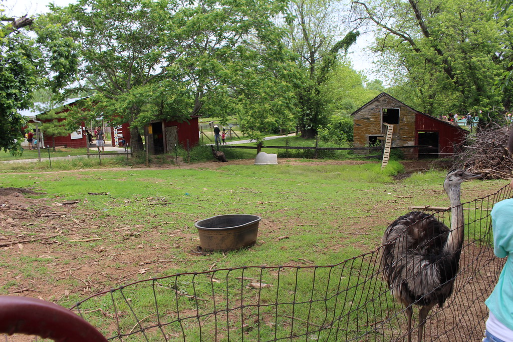 Great Country FarmsBluemont Flickr