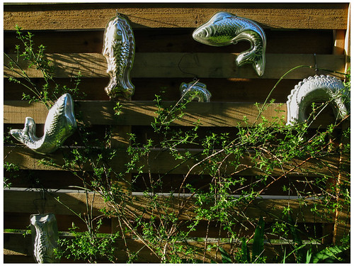 Fish Ladder prima seadiva Flickr