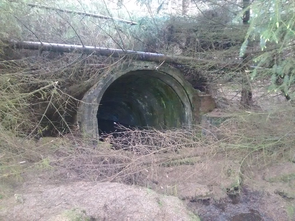 Brynteg colliery adit open adit at Brynteg Colliery, the m… Flickr