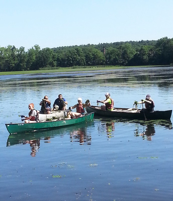 06/24/2016 CliftonLarsonAllen Flickr