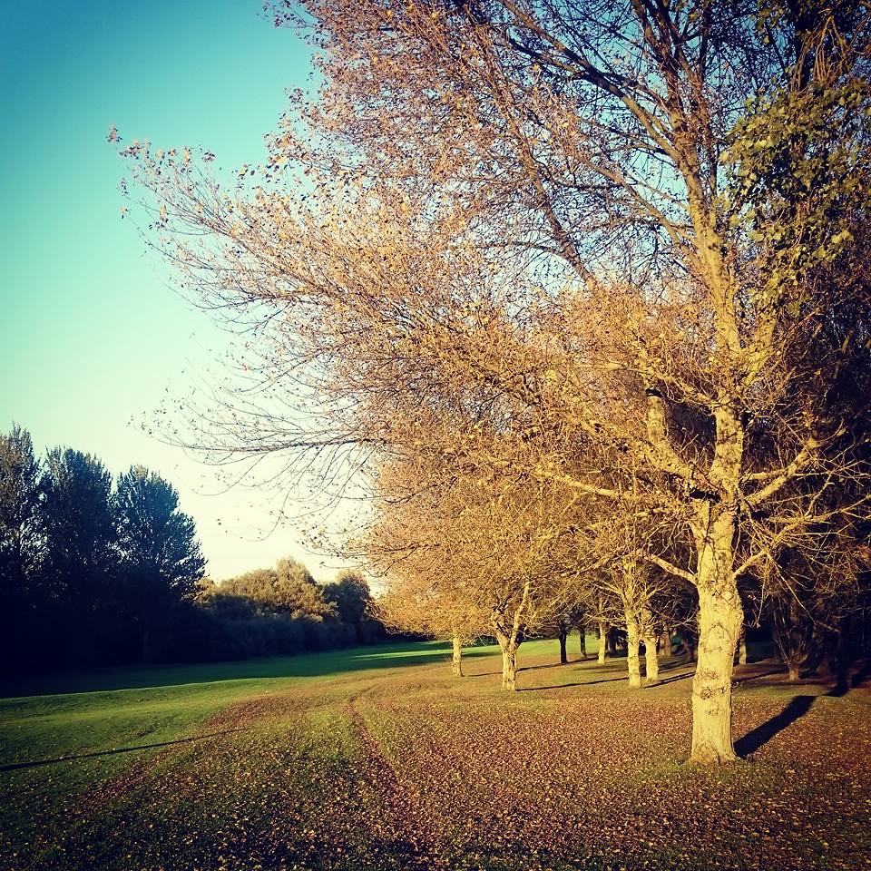 AutumnHull Seong Hyeong Flickr