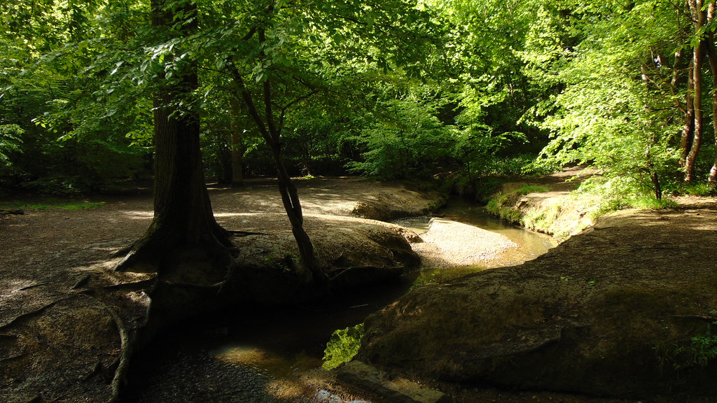 Belfairs Park Woods, Leighonsea essexwoods.uk/Parks/Belf… Flickr