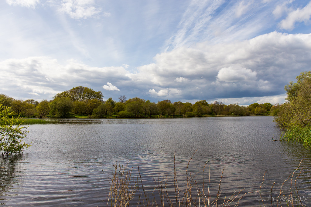 The Lake Moors Valley Country Park 28 April 2015 Julia Livesey Flickr