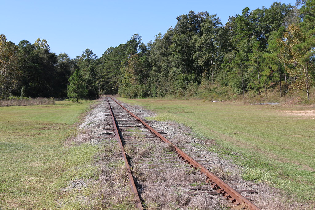 Sneads, FL Plant Scholz Pic 4 Andy Tucker Flickr