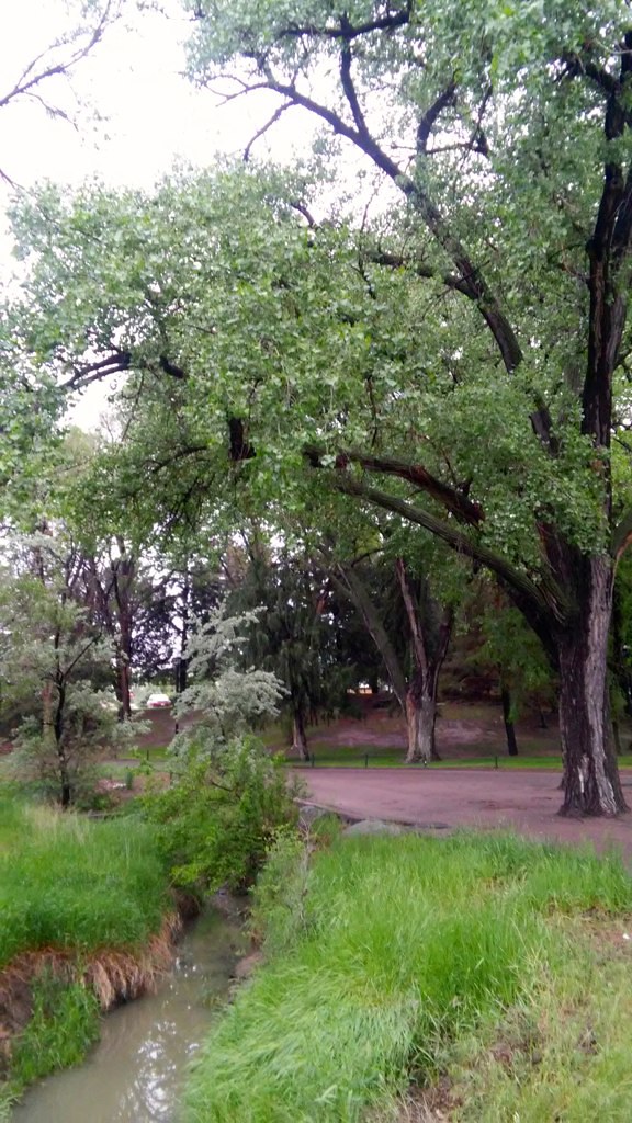 Wray City Park Van Remsen Flickr