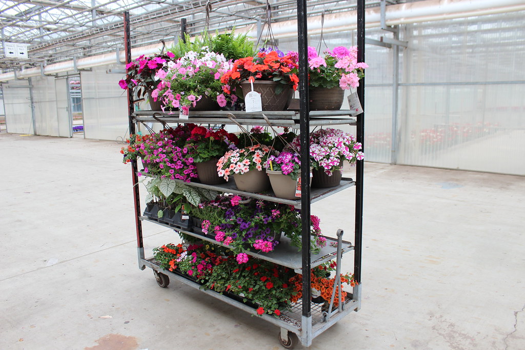 Catoctin Mountain Growers 026 Bernie Rogers Flickr