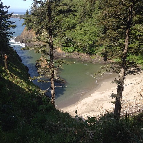 View of Dead Man's Cove from the trail towards Cape Disapp… Flickr
