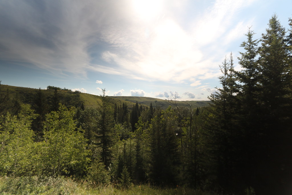 Elevation of 16 Paint Horse Dr, Cochrane, AB T0L, Canada Topographic