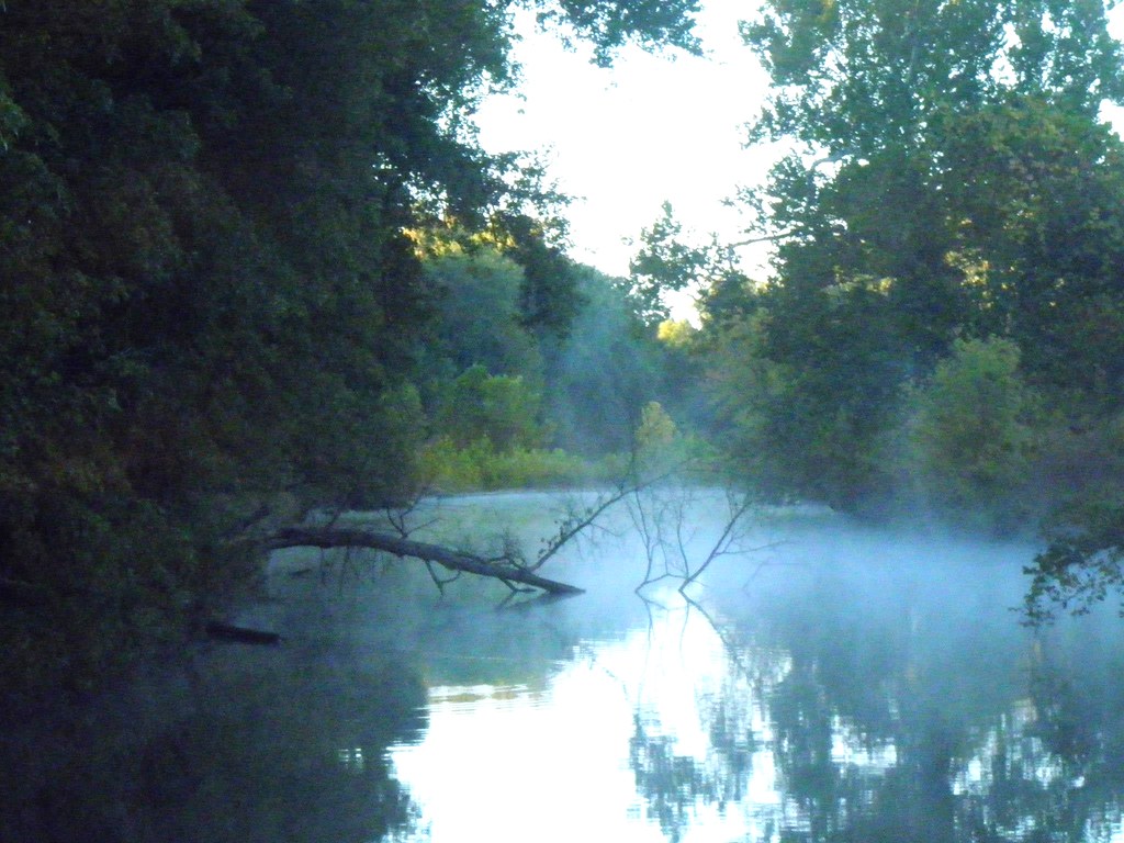 Is Creve Coeur Lake Toxic at Henry Rayburn blog