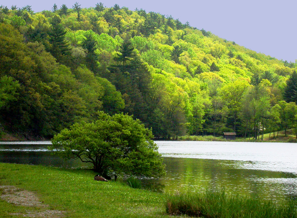 Innisfree Garden John Weiss Flickr