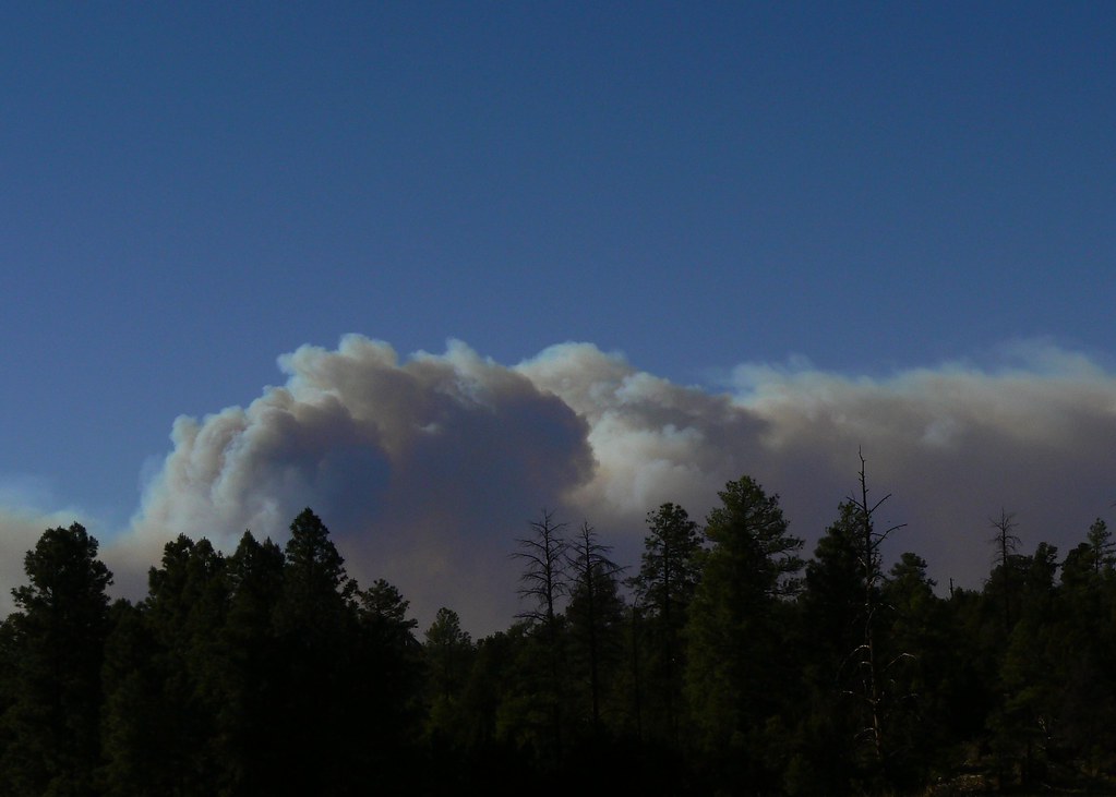 Potato Fire Potato Fire, burning northeast of Heber, Arizo… Bradley