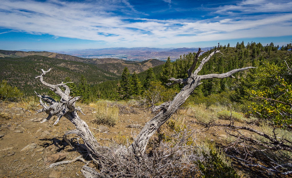 Jones Creek Trail Galena Nevada Robert Hopkins Flickr