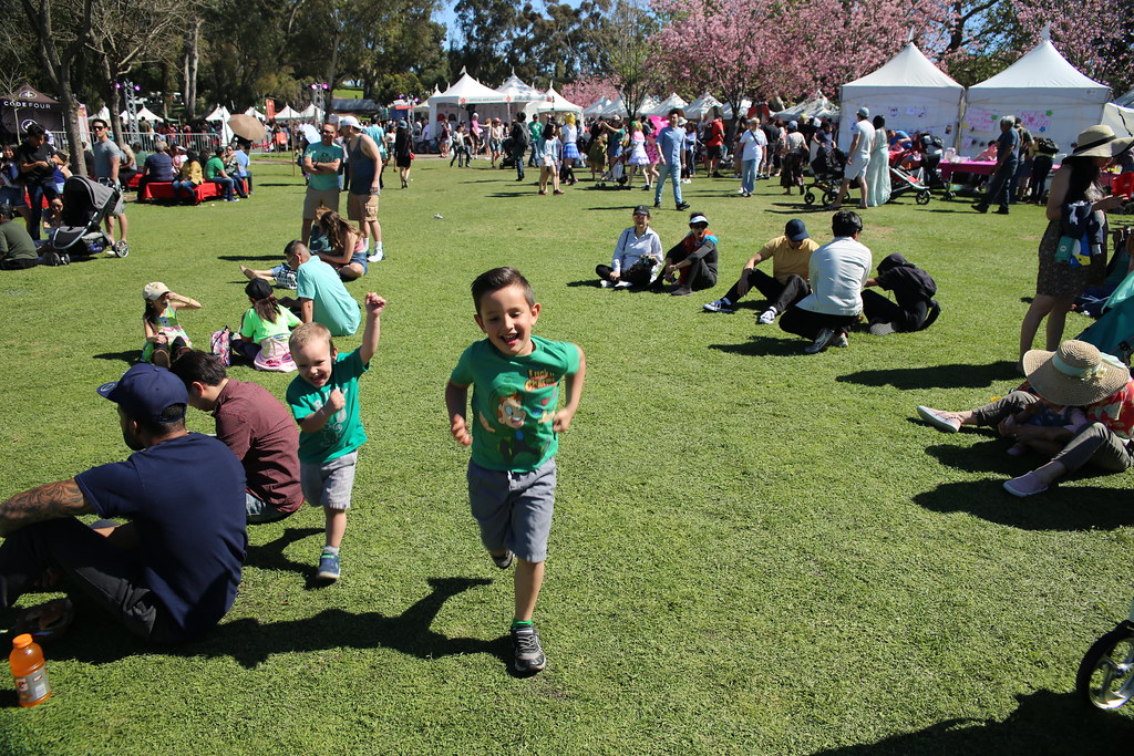 orange county cherry blossom festival 2023 Orange County Cherry Blossom Festival Flickr