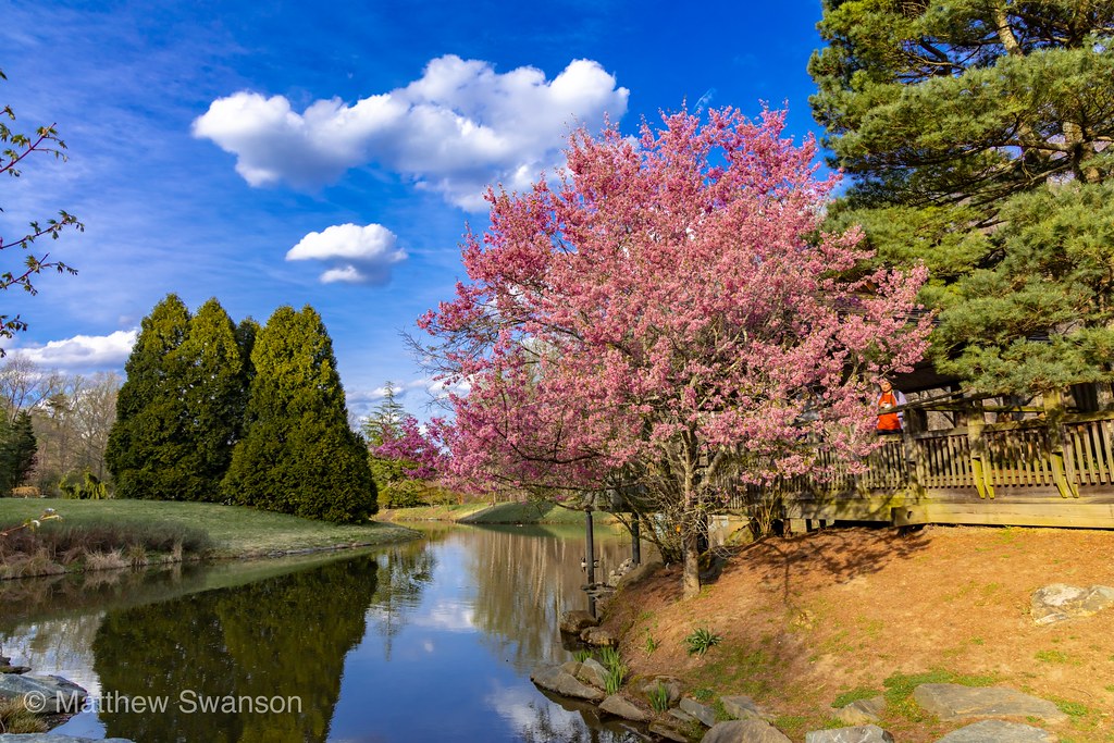 Brookside Gardens A walk around the nature reserve and gar… Flickr