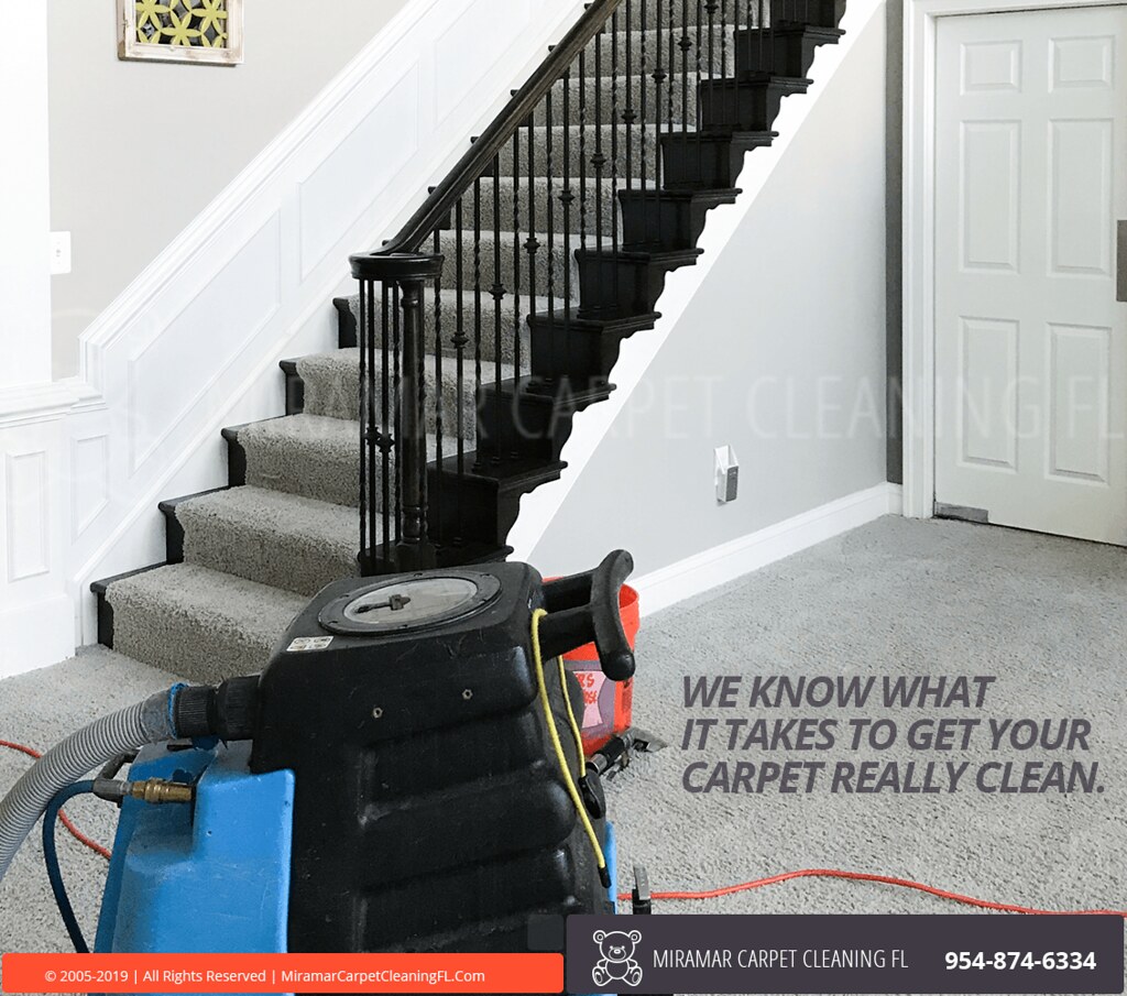 Carpet Cleaning Services, FL Professional carpet, upholste… Flickr