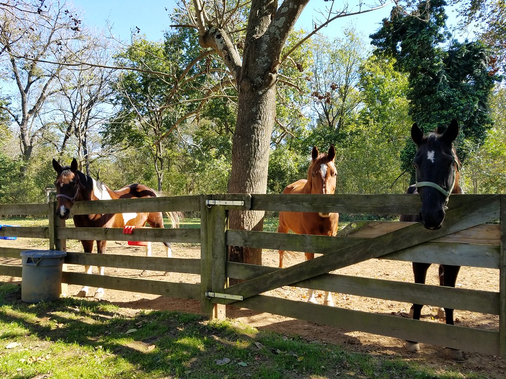 in Port Republic, Virginia smartphone dump Kipp Teague Flickr