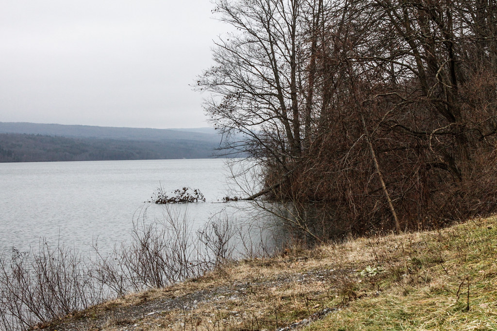 _MG_0551 A First Day hike along Conesus Lake. NYS DEC Flickr