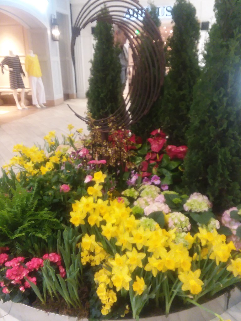 Edina Galleria Flower Show Flickr