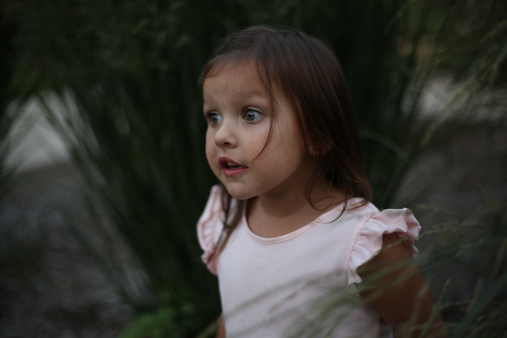 Spring Lake Park 2018 Flickr