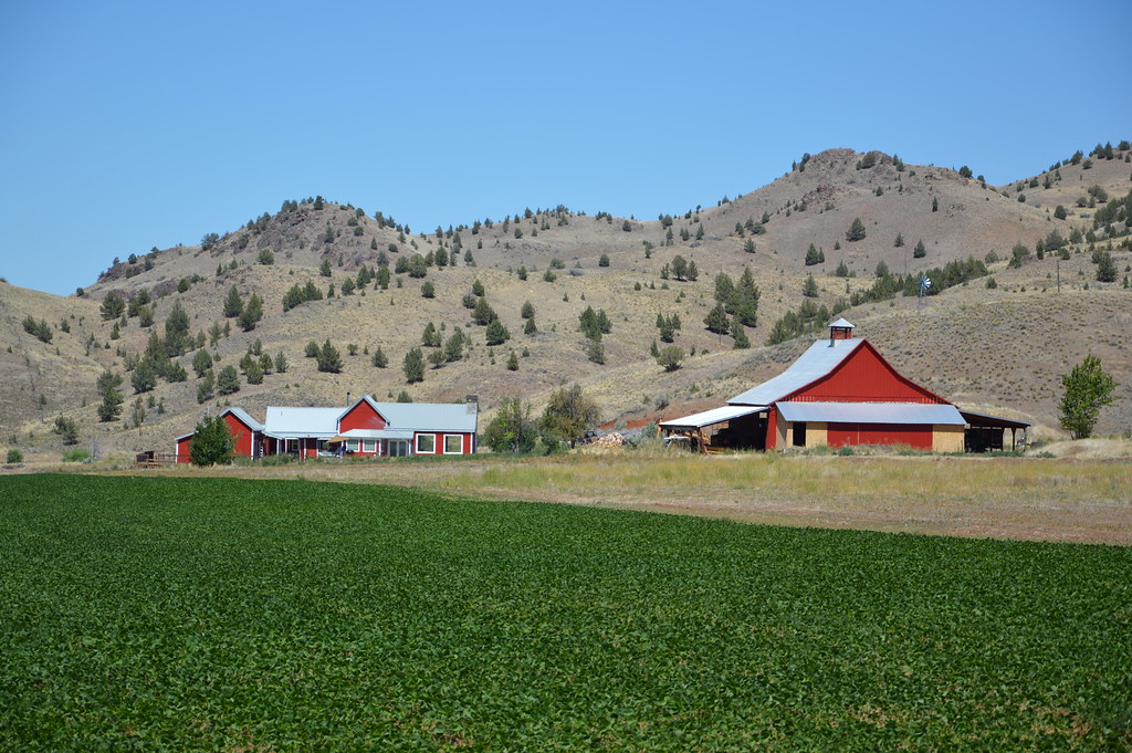 North Slope Ochoco Restoration Project Wheeler County, O… Flickr