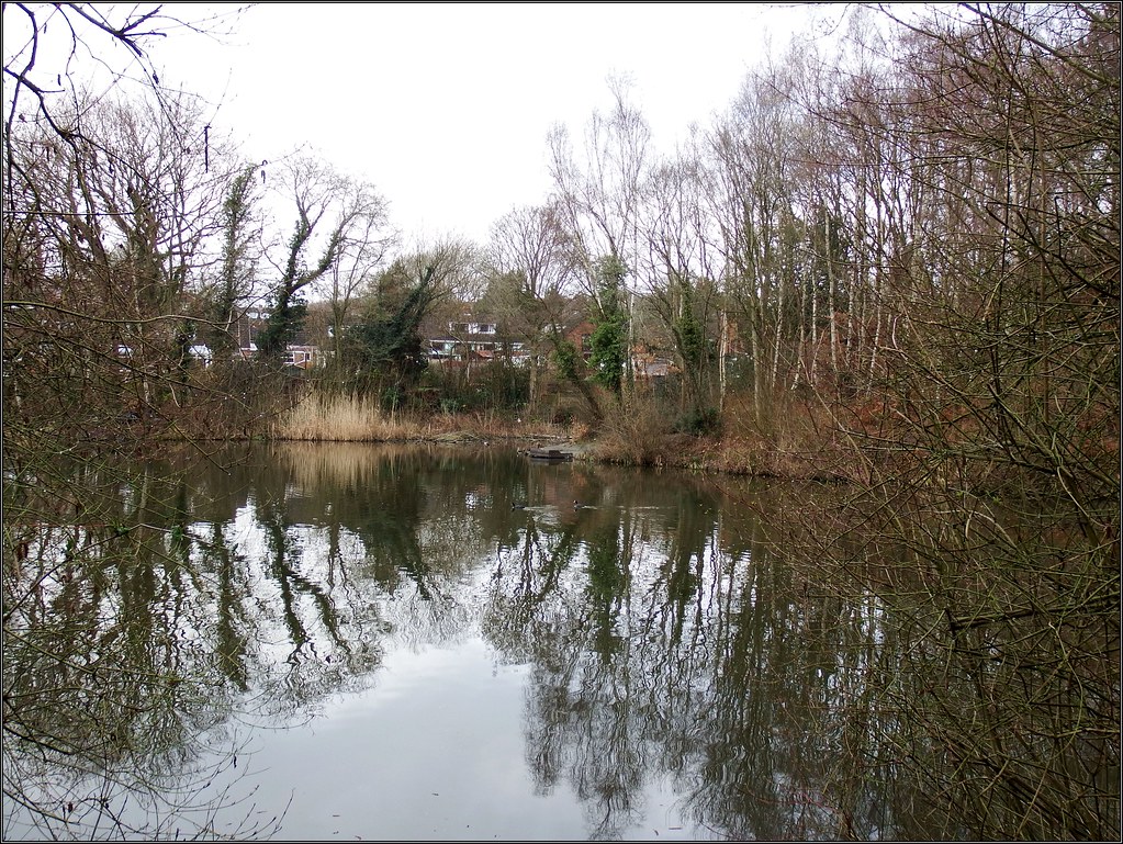 Little Dawley Pools with Lizzie ©Liz Callan (5) dandy pool… Liz