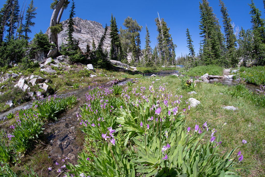 Elevation of Trap Creek Campground, Sawtooth Way, Stanley, ID, USA
