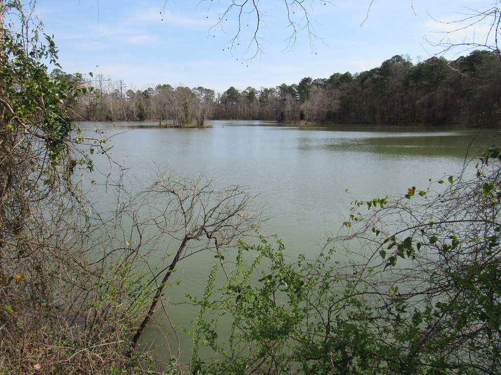 Lake PurdyJefferson County, Al. 990 acre lake created i… Flickr