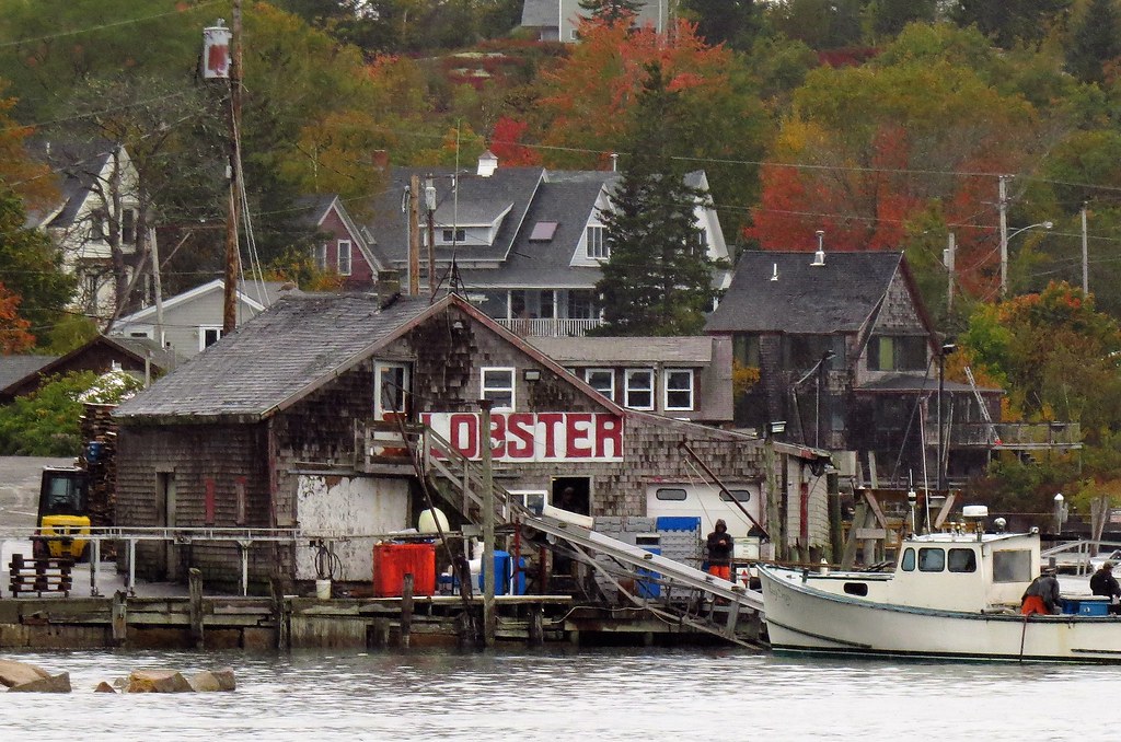Stonington Unloading the Catch Stonington, Maine; located… Flickr