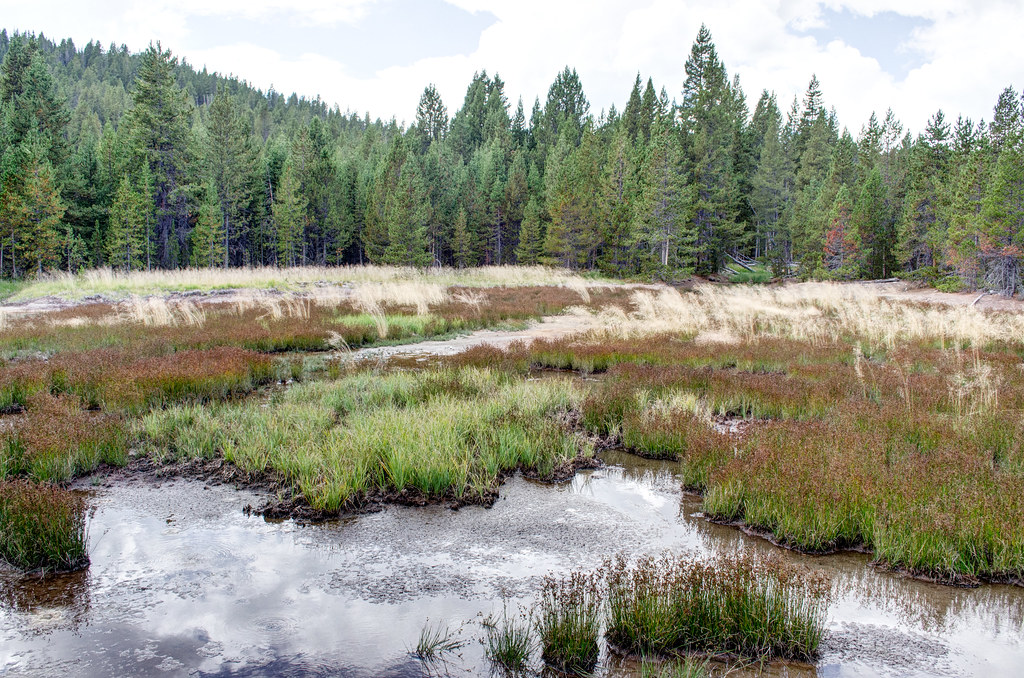 _DW51761.jpg White Rock Springs located along the Solfatar… Flickr