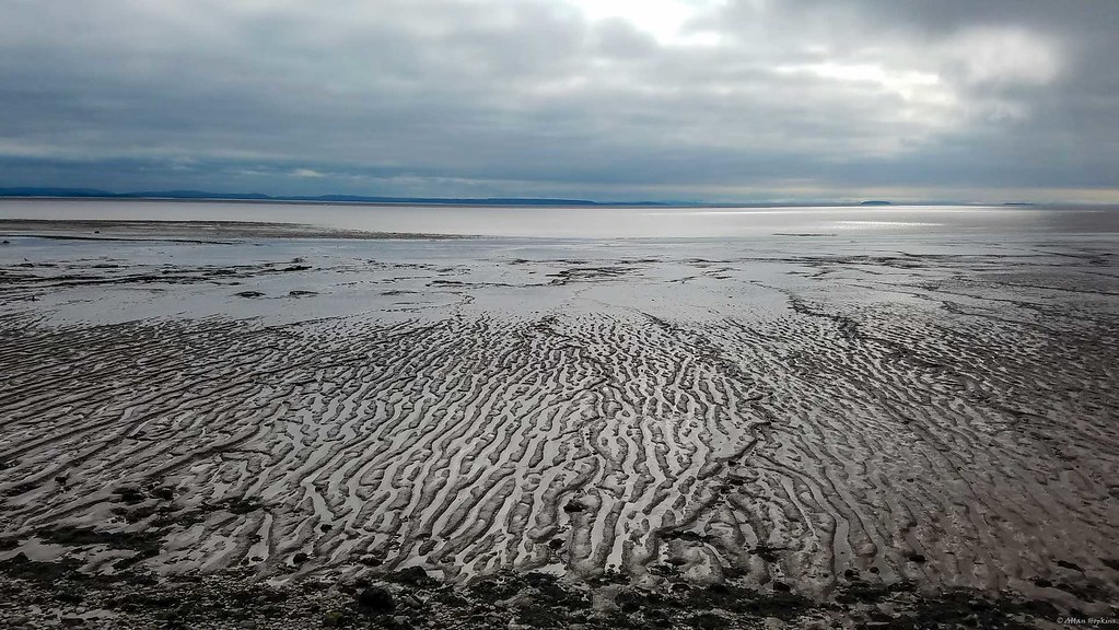 Low Tide on the Severn Estuary Goldcliff, Newport CBC, Wal… Flickr