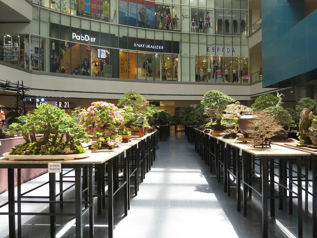 bonsai exhibit some of the best bonsais were on exhibit at… Flickr