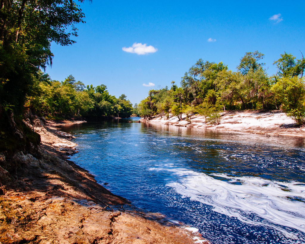 Big Shoals Suwanne River The Suwannee River is one of Fl… Flickr