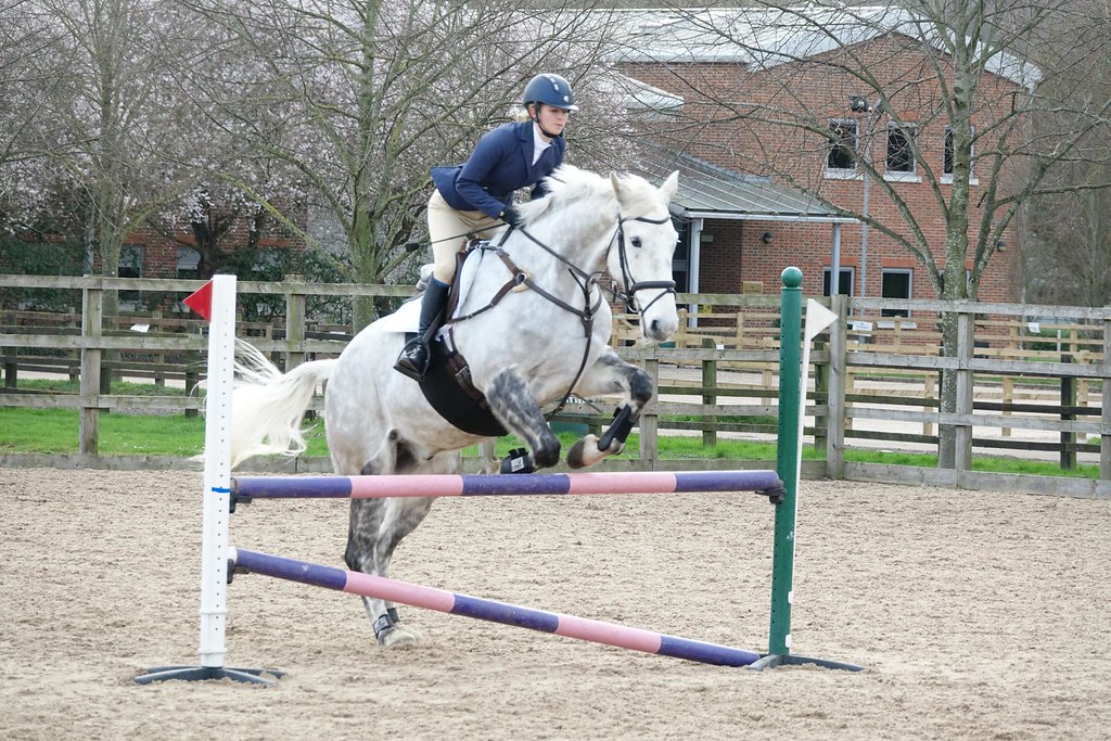 Louise Hambleton 020319 Flickr