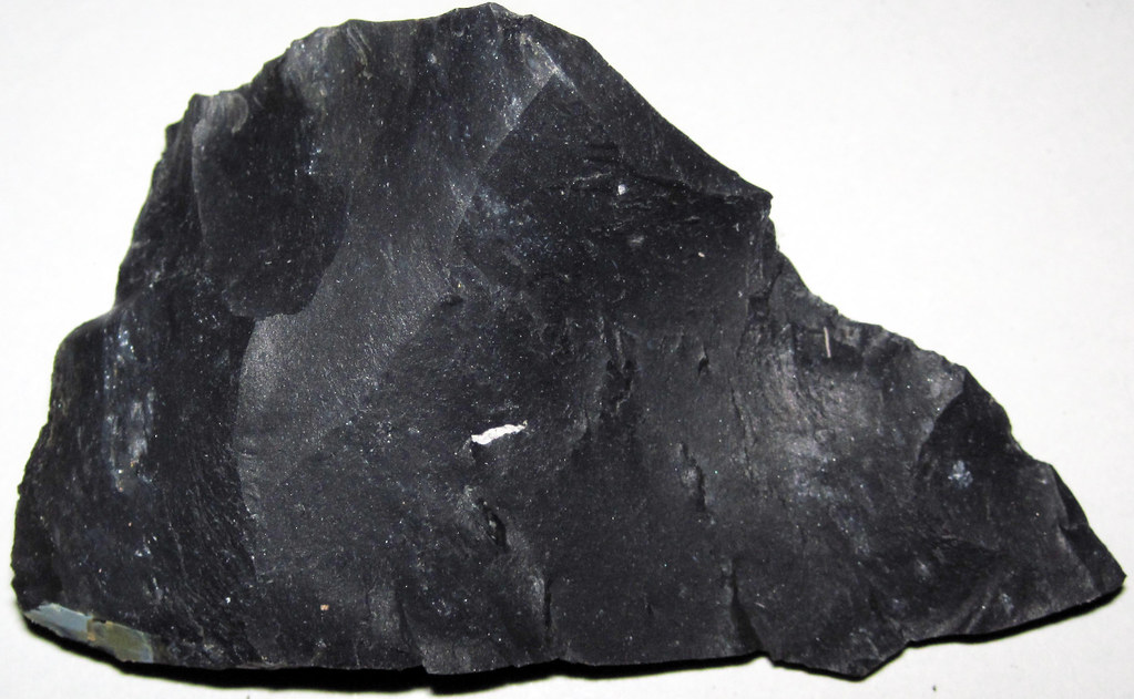 Zaleski Flint (Middle Pennsylvanian; west of Creola, north… Flickr