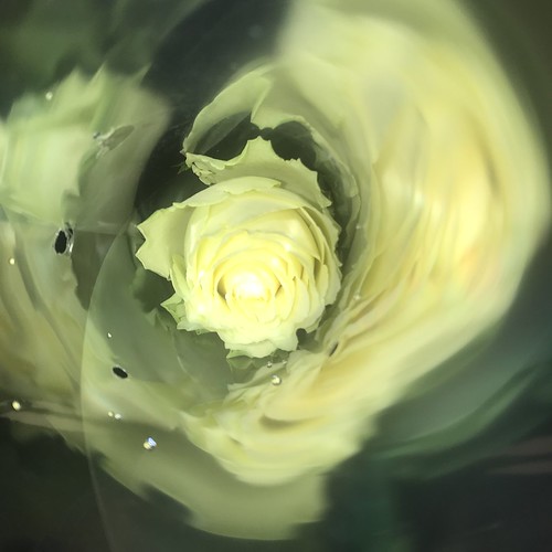 Rowena gay Vuelta Flickr