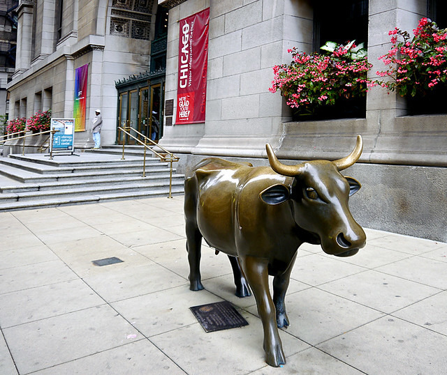 photo Chicago Bronze Cow This bronze cow was installed i… Flickr
