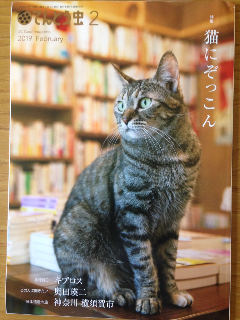 Magazine about cats from Japan Koji Moriya Flickr