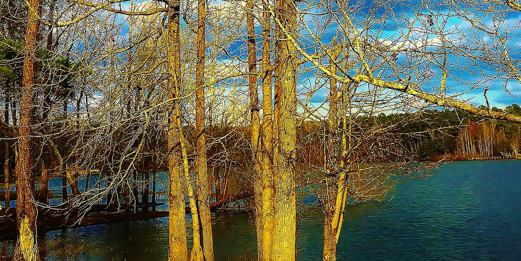 Blue Is The Word Blue LakeChipley, Florida Olin Gilbert Flickr