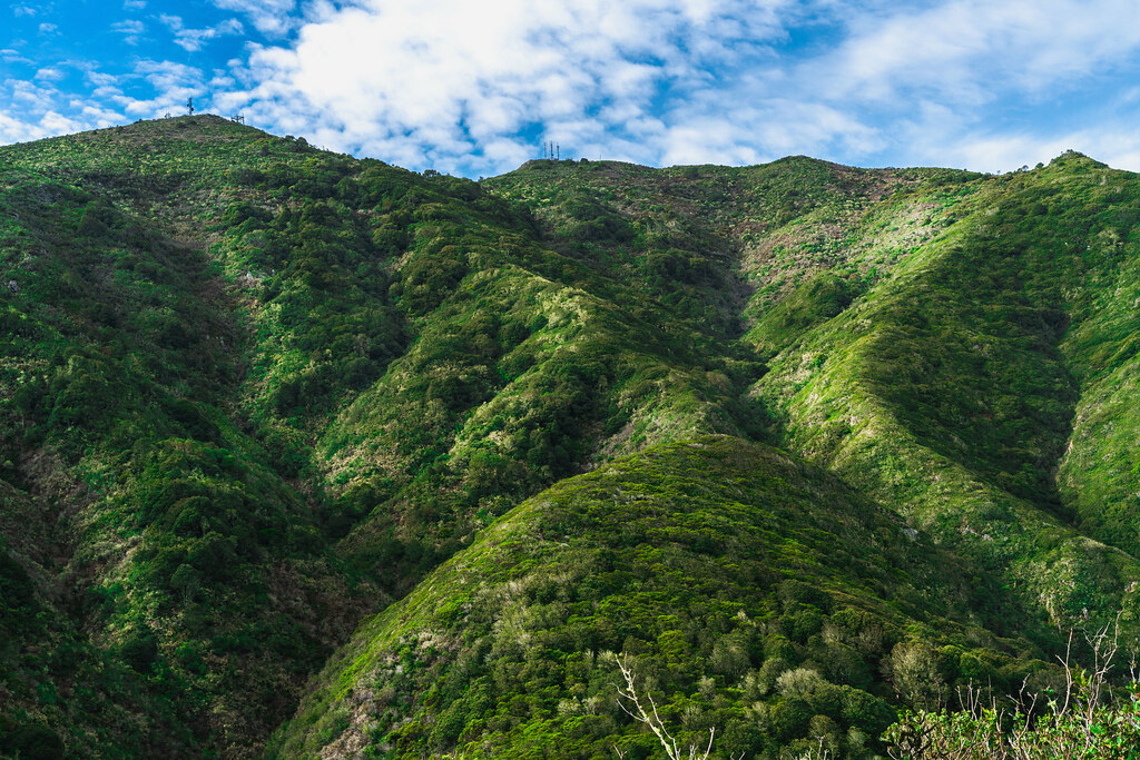 Montara Hills a photo on Flickriver