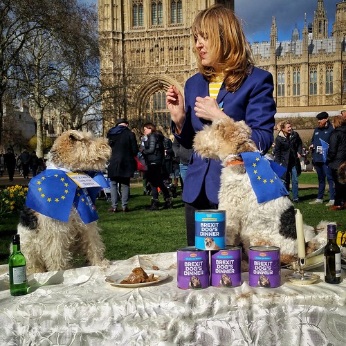Wooferendum March 2019 01 Brexit is a dog's dinner. Flickr