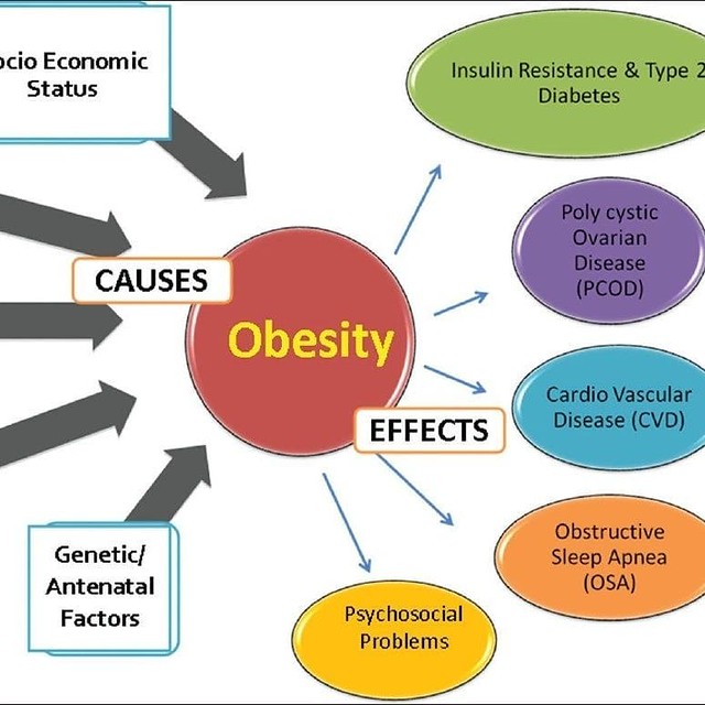 obesity AYURVEDIC TIPS FOR FLAT BELLY Herbal Supplements… Flickr