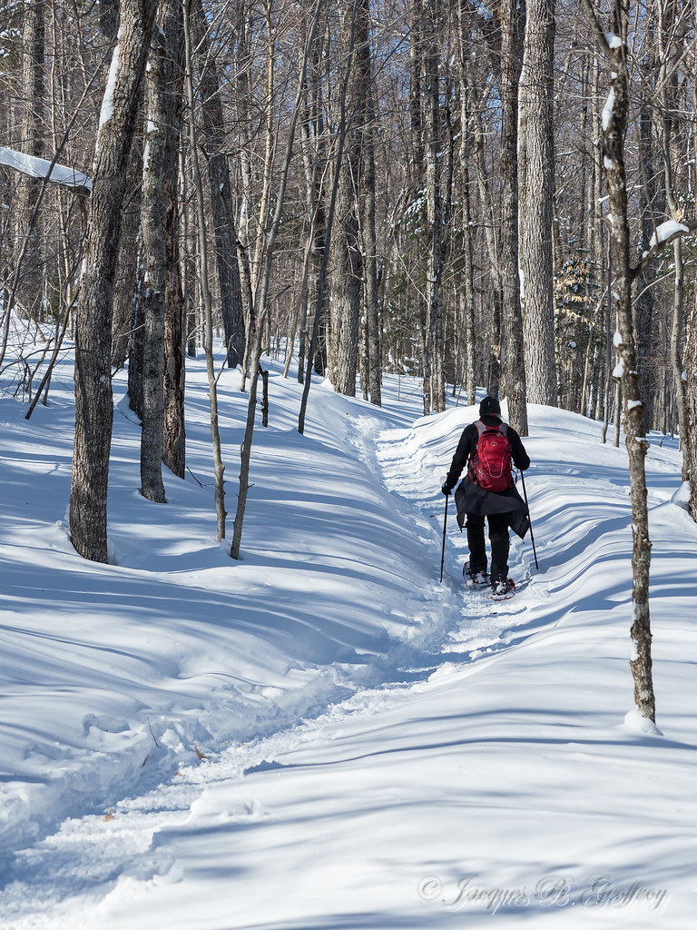 M3010007.jpg Stdonat de montcalm Jacques B. Geoffroy Flickr