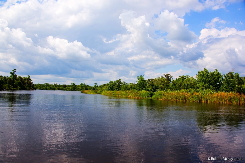 Peace River Meandering east from Charlotte Harbor, the Pea… Flickr