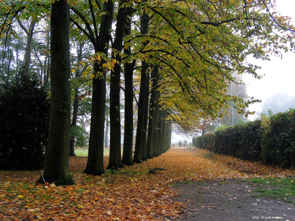 Zola Predosa Palazzo Albergati (Caféfestival) Zola Predos… Flickr