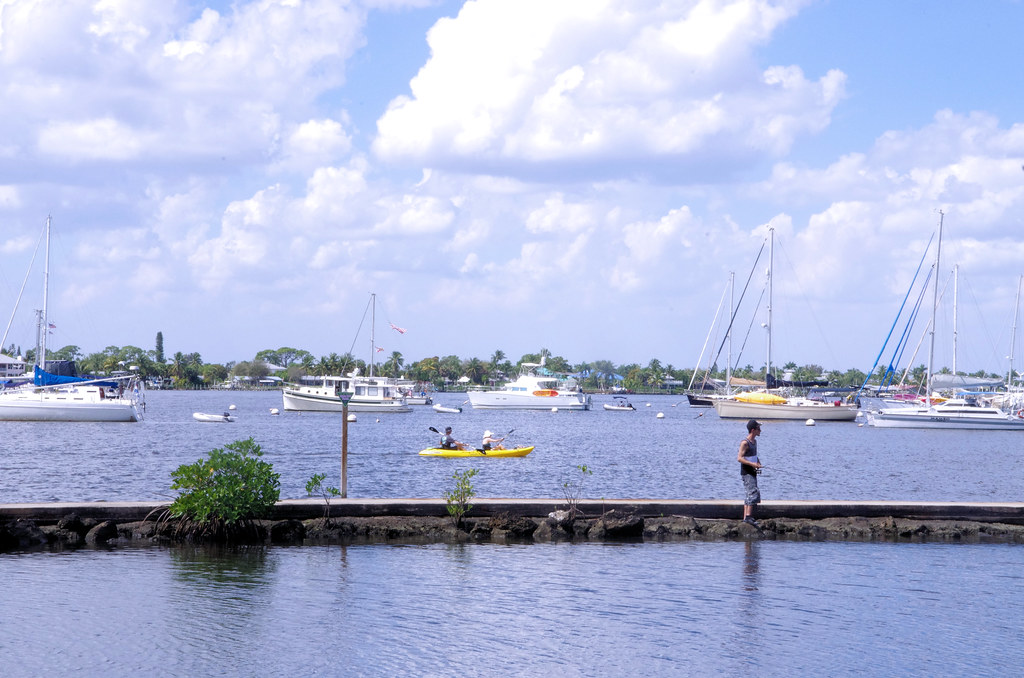 Saint Lucie River, South Fork. Steven Oldak Flickr