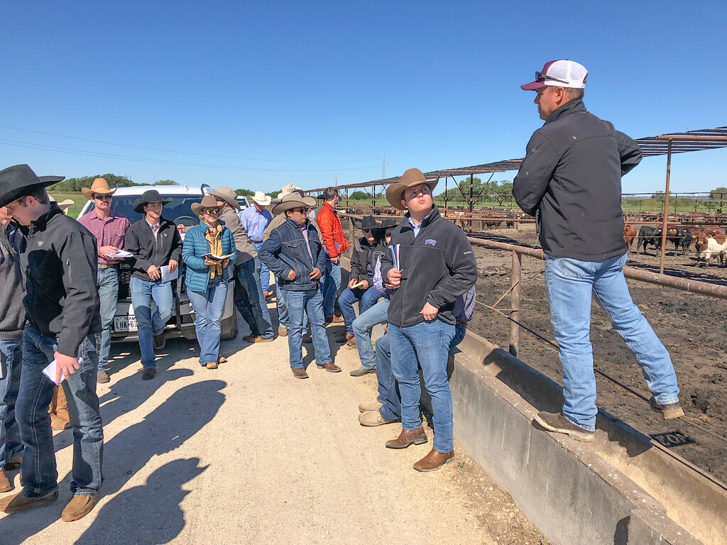 Graham Land & Cattle 11.2.18 TCU Ranch Management Flickr