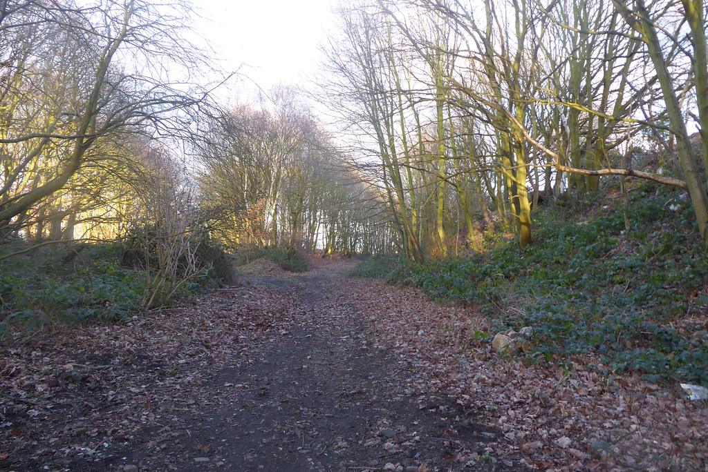 Old railway trackbeds, Athersley, Barnsley. (junction of f… Flickr