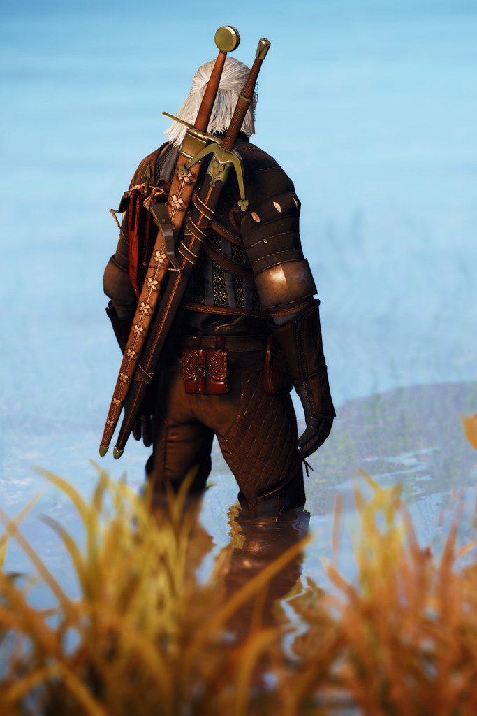 The Witcher 3 Wild Hunt Mods, ReShade, debug console, Nvi… Flickr